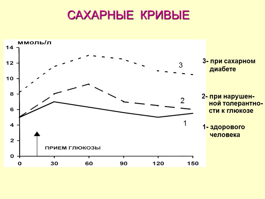 САХАРНЫЕ КРИВЫЕ 1- здорового человека 2- при нарушен- ной толерантно- сти к глюкозе 3-